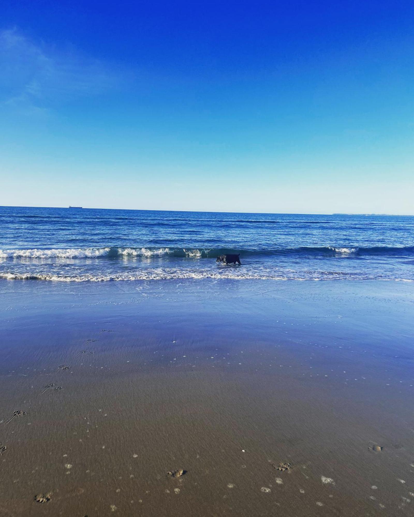 Beach Apartment パパモア エクステリア 写真